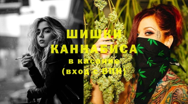 стафф Карпинск
