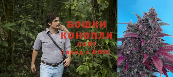 стафф Карпинск