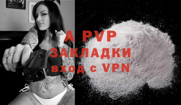 стафф Карпинск