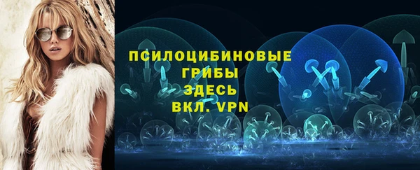 твердый Касимов