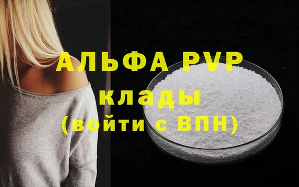 стафф Карпинск