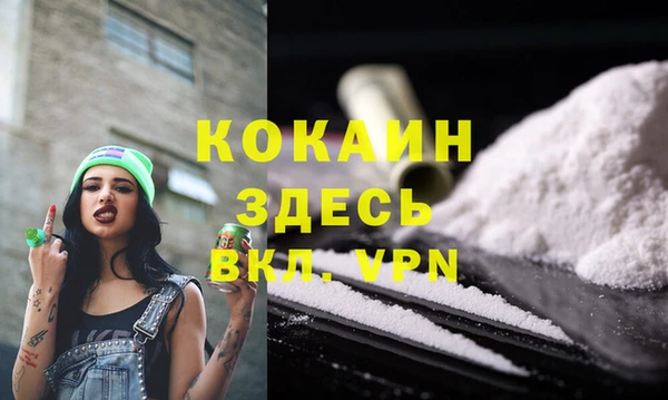 стафф Карпинск