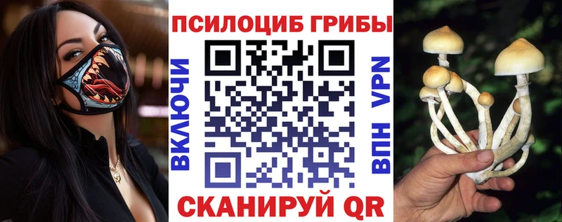 Псилоцибиновые грибы ЛСД  Купить закладки  Кондопога 